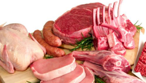 makanan yang mengandung protein