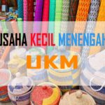 2 Ide Bisnis UKM