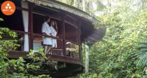 Best Spa Ubud