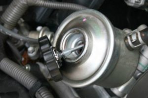 Oli Power Steering Terios