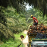 KADIN untuk Indonesia