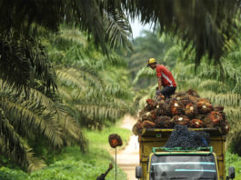 KADIN untuk Indonesia