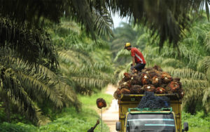 KADIN untuk Indonesia