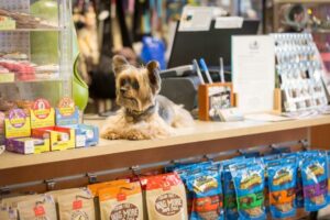 Pet Shop