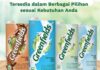 susu sapi