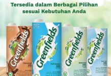 susu sapi