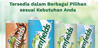 susu sapi